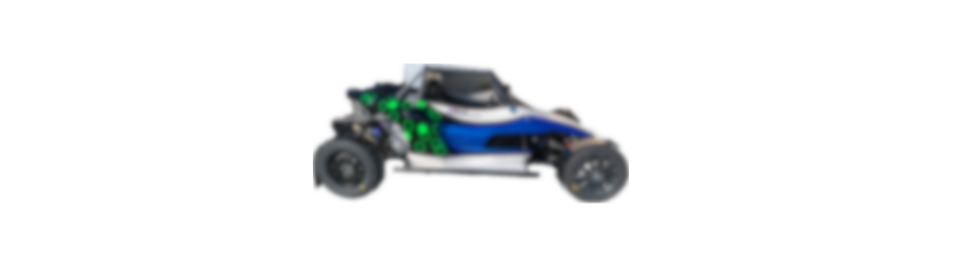 RT4 Buggy 1600